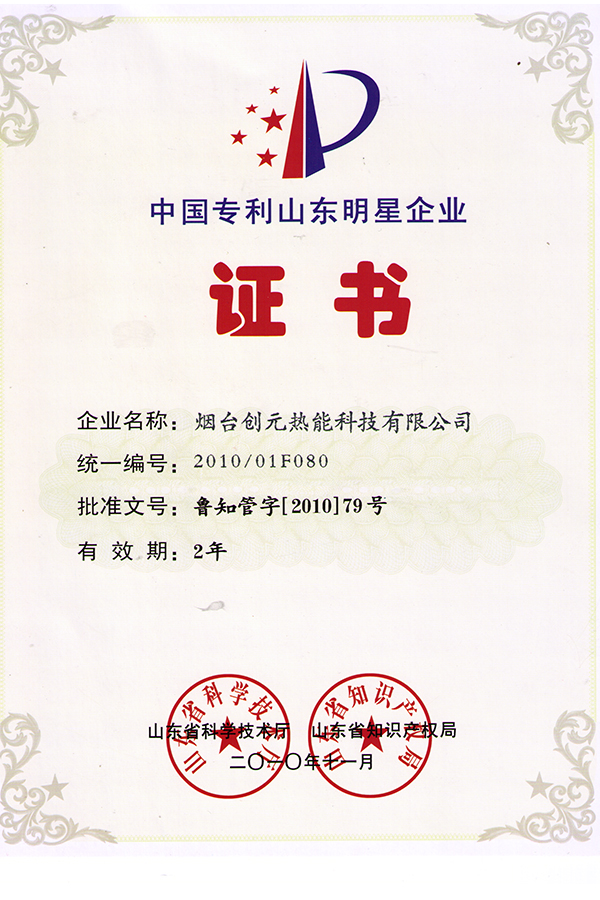 2010專利明星企業(yè)